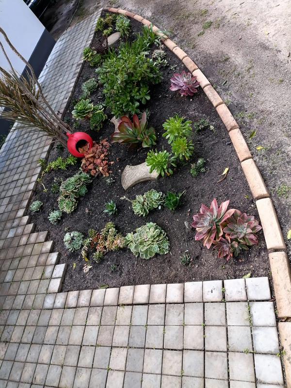 2 Bedroom Property for Sale in Albertinia Western Cape